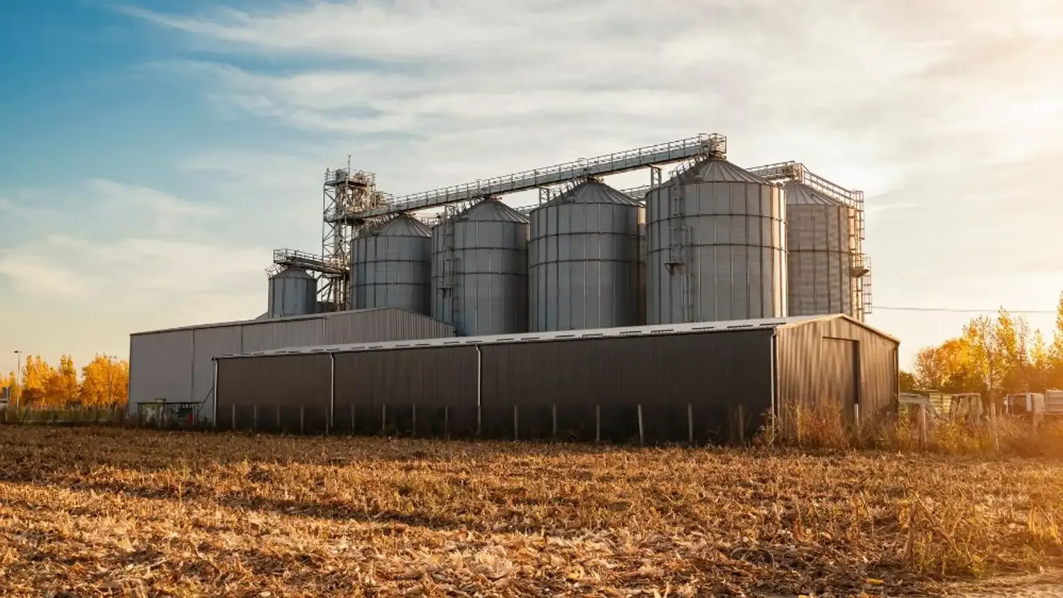 Corn Storage Silo