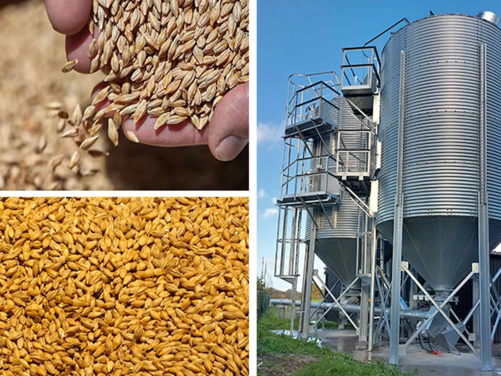 Seed Silo