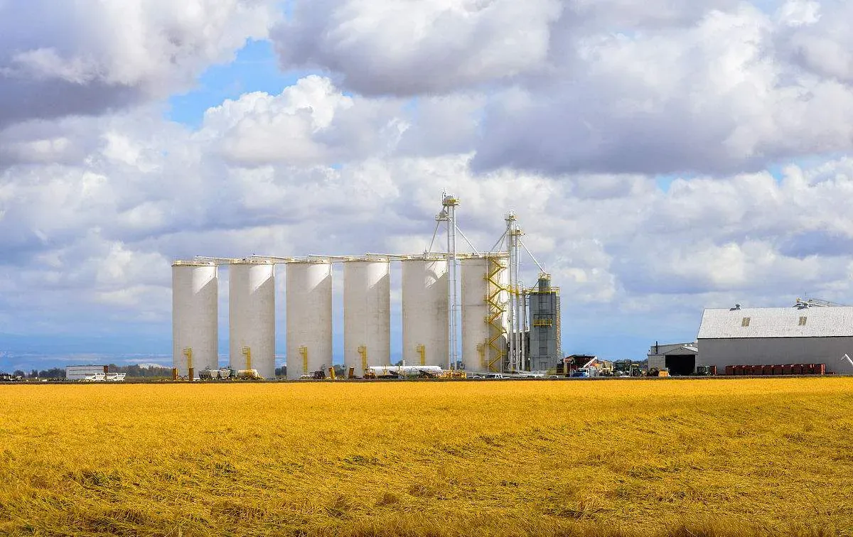 Paddy Storage Silo